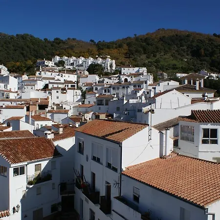 Jardines Del Visir *